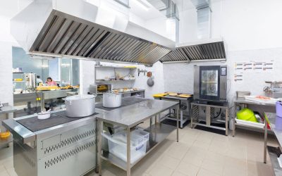 Commercial Kitchen Drain Odours and Flies