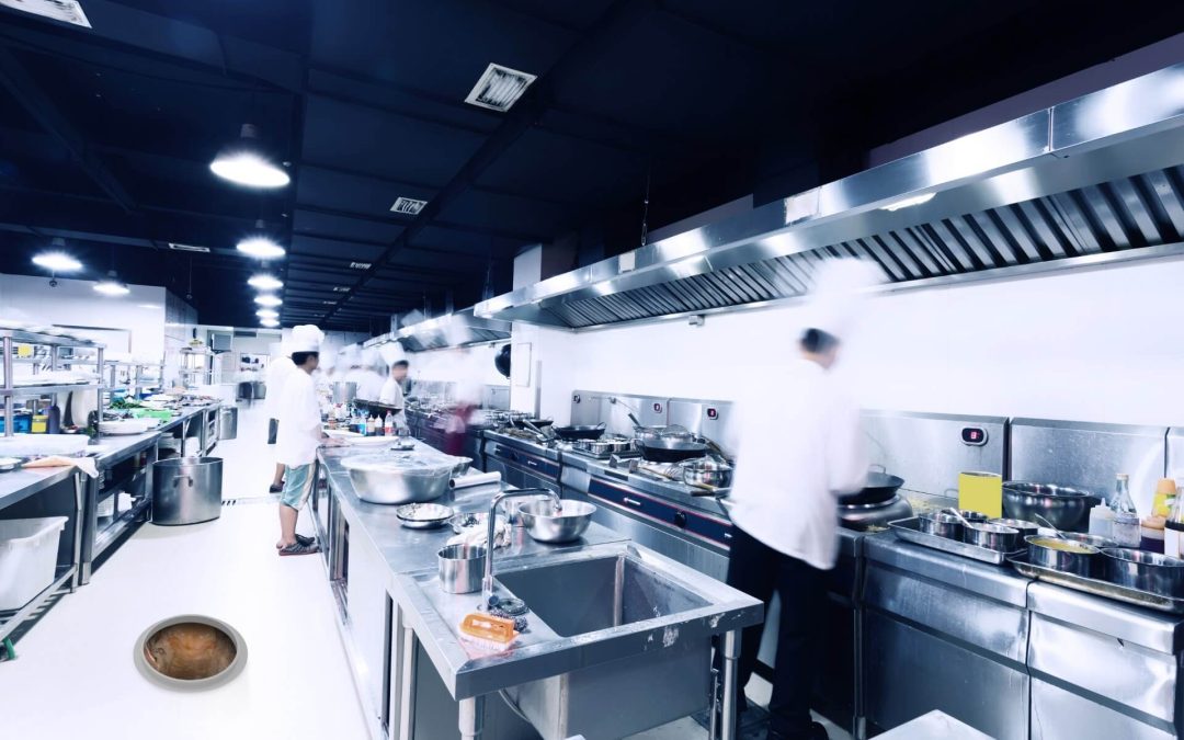 The Health and Safety Risk of Neglected Drainpipe Cleaning in Kitchens and Food & Beverage Outlets: Why Cleaning with Probiotics is the Effective Solution